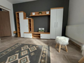 Apartament Păcurari